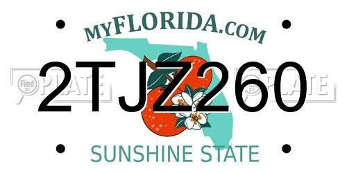 2TJZ260 Florida License Plate