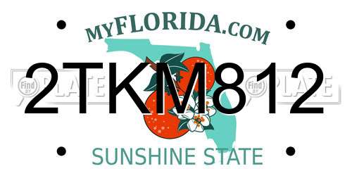 2TKM812 Florida License Plate