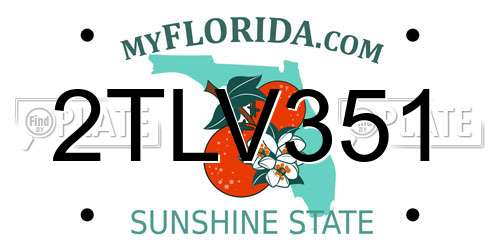 2TLV351 Florida License Plate