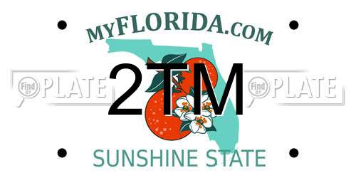 2TM Florida License Plate