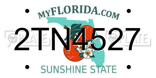 2TN4527 Florida License Plate