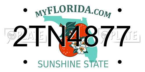 2TN4877 Florida License Plate