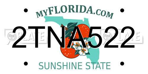 2TNA522 Florida License Plate