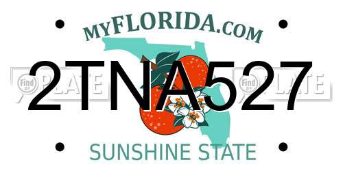 2TNA527 Florida License Plate
