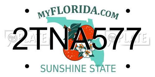2TNA577 Florida License Plate