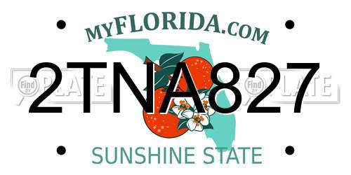 2TNA827 Florida License Plate