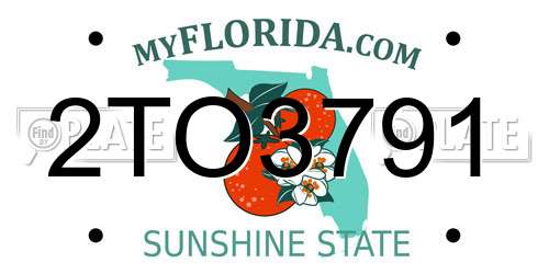 2TO3791 Florida License Plate