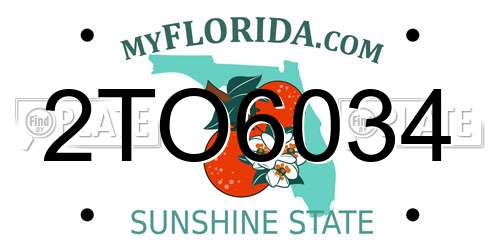 2TO6034 Florida License Plate