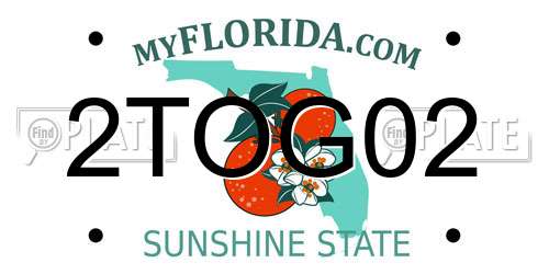 2TOG02 Florida License Plate