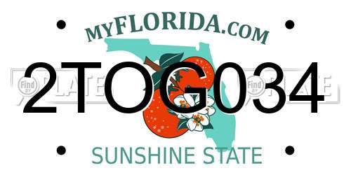 2TOG034 Florida License Plate