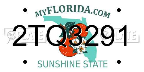 2TQ3291 Florida License Plate