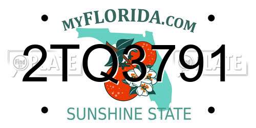 2TQ3791 Florida License Plate
