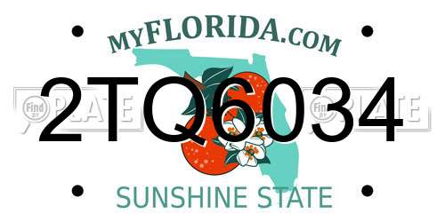 2TQ6034 Florida License Plate