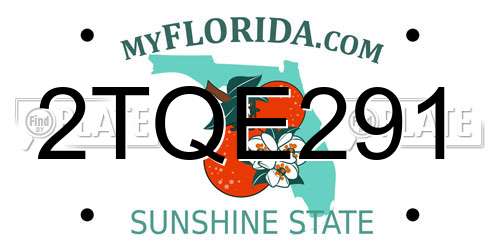 2TQE291 Florida License Plate