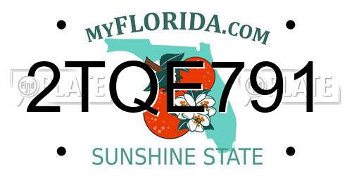 2TQE791 Florida License Plate