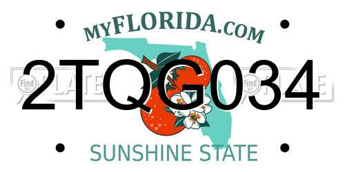 2TQG034 Florida License Plate