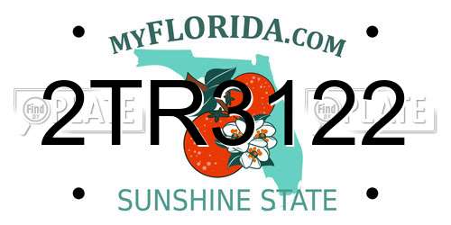 2TR3122 Florida License Plate