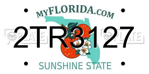 2TR3127 Florida License Plate