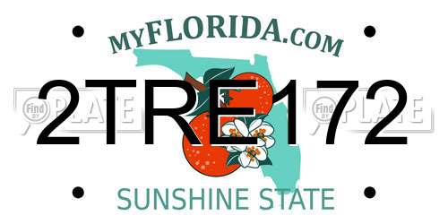 2TRE172 Florida License Plate