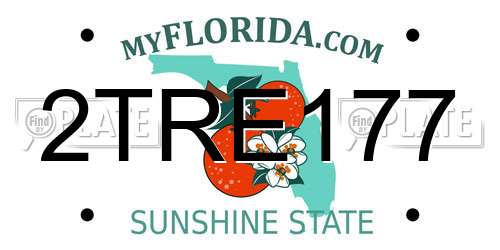 2TRE177 Florida License Plate