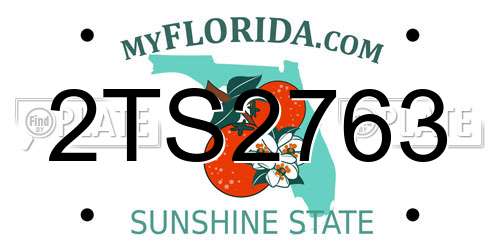2TS2763 Florida License Plate