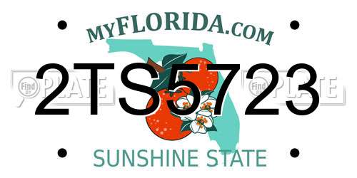 2TS5723 Florida License Plate