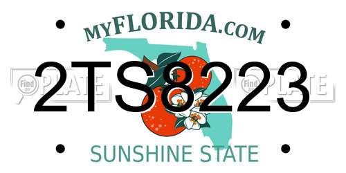 2TS8223 Florida License Plate