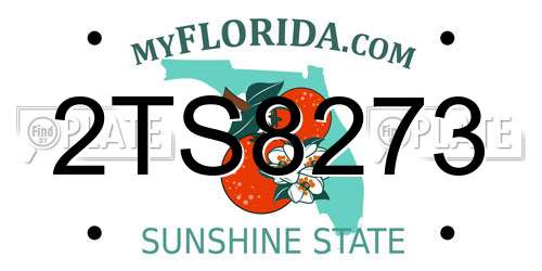 2TS8273 Florida License Plate