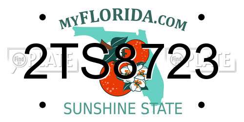 2TS8723 Florida License Plate