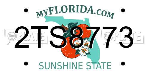 2TS8773 Florida License Plate