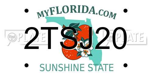 2TSJ20 Florida License Plate