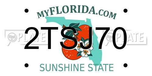 2TSJ70 Florida License Plate