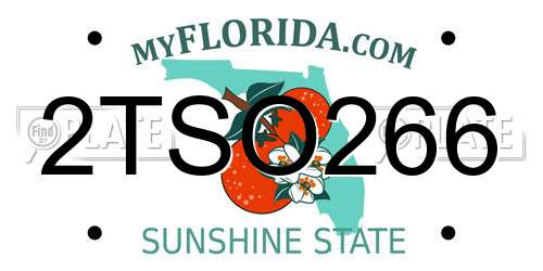 2TSO266 Florida License Plate
