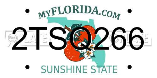 2TSQ266 Florida License Plate