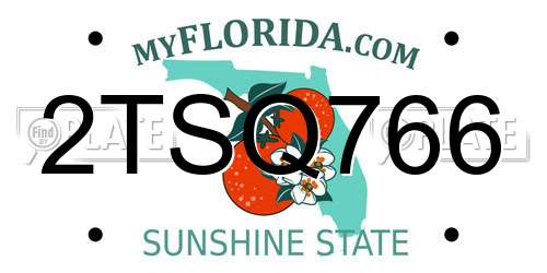 2TSQ766 Florida License Plate