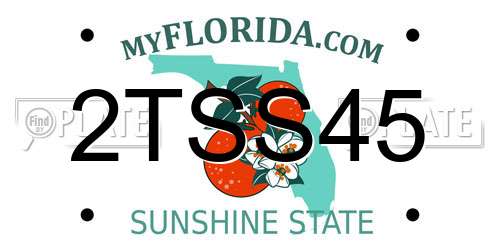 2TSS45 Florida License Plate