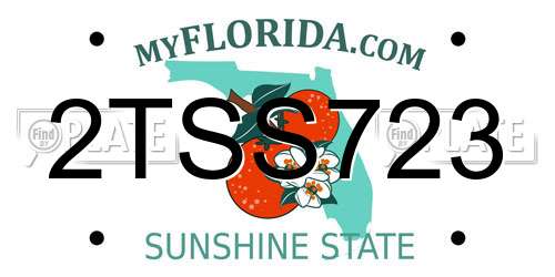 2TSS723 Florida License Plate