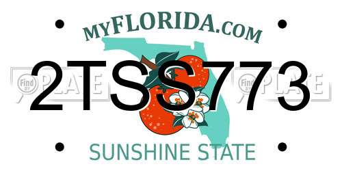 2TSS773 Florida License Plate