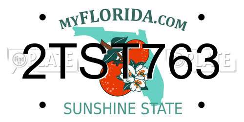 2TST763 Florida License Plate
