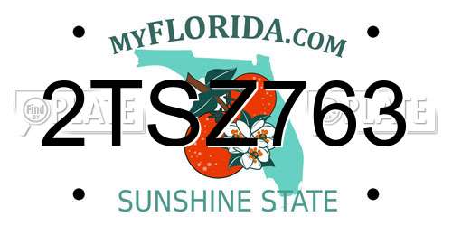2TSZ763 Florida License Plate