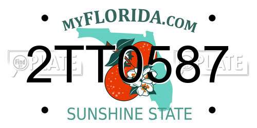 2TT0587 Florida License Plate