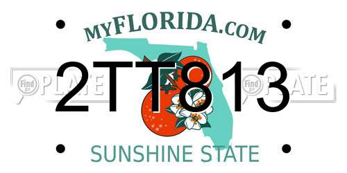 2TT813 Florida License Plate