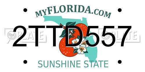2TTD557 Florida License Plate