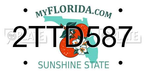 2TTD587 Florida License Plate