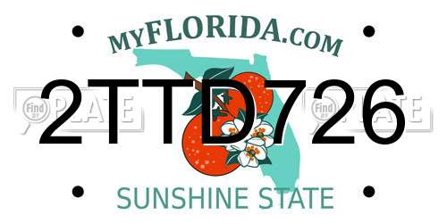2TTD726 Florida License Plate
