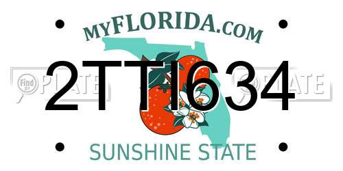 2TTI634 Florida License Plate