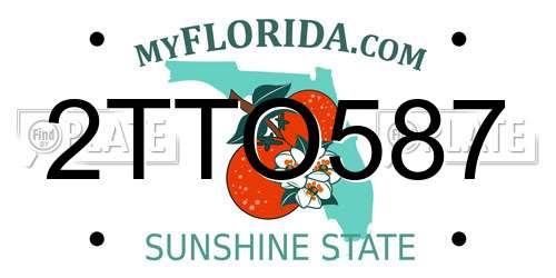 2TTO587 Florida License Plate