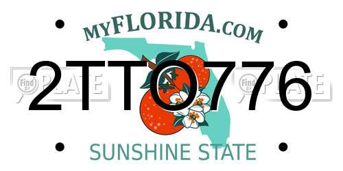 2TTO776 Florida License Plate