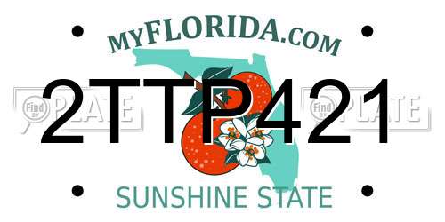 2TTP421 Florida License Plate