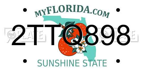 2TTQ898 Florida License Plate